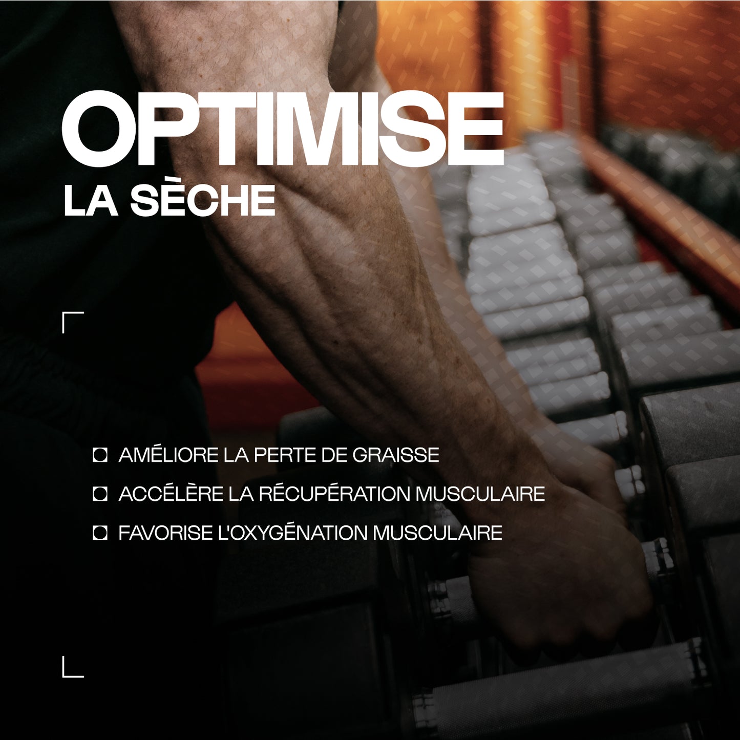 Carnitine Carnipure® en gélules