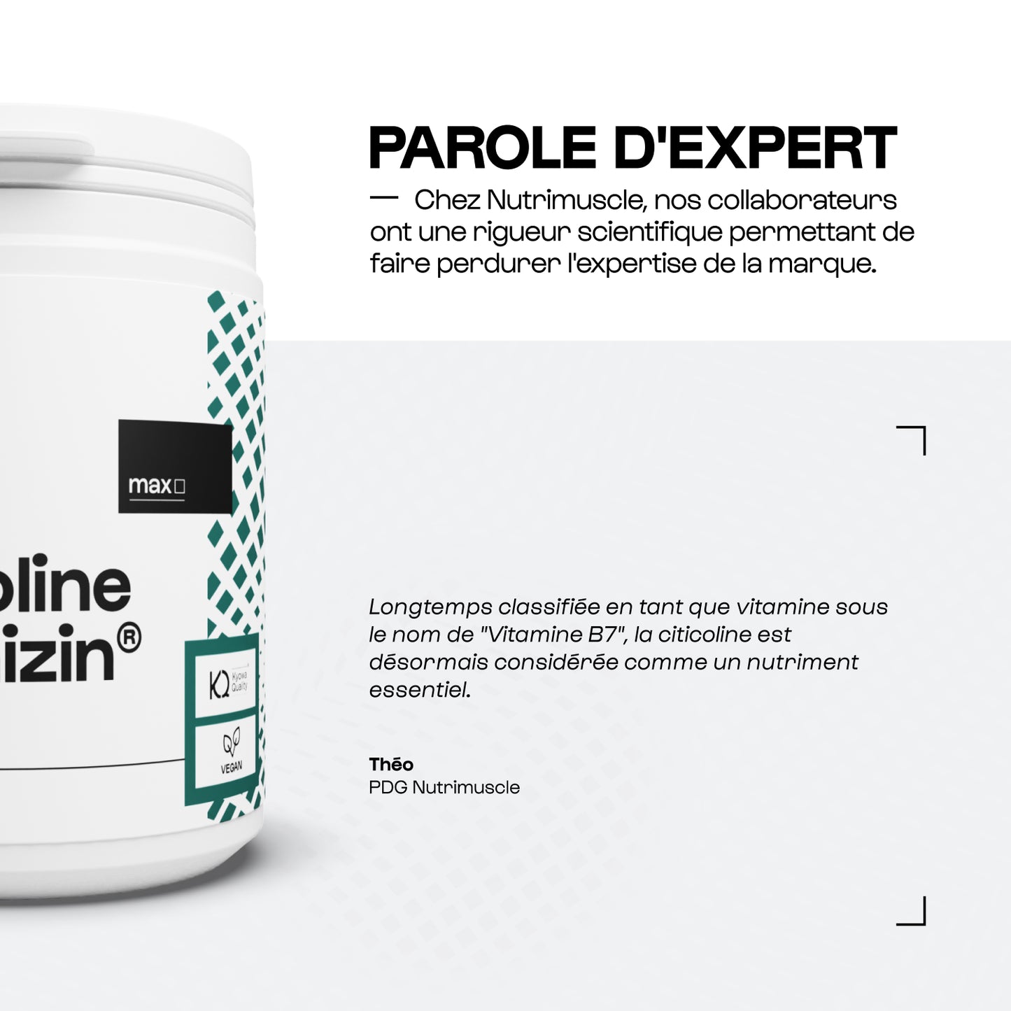 Citicoline Cognizin en gélules
