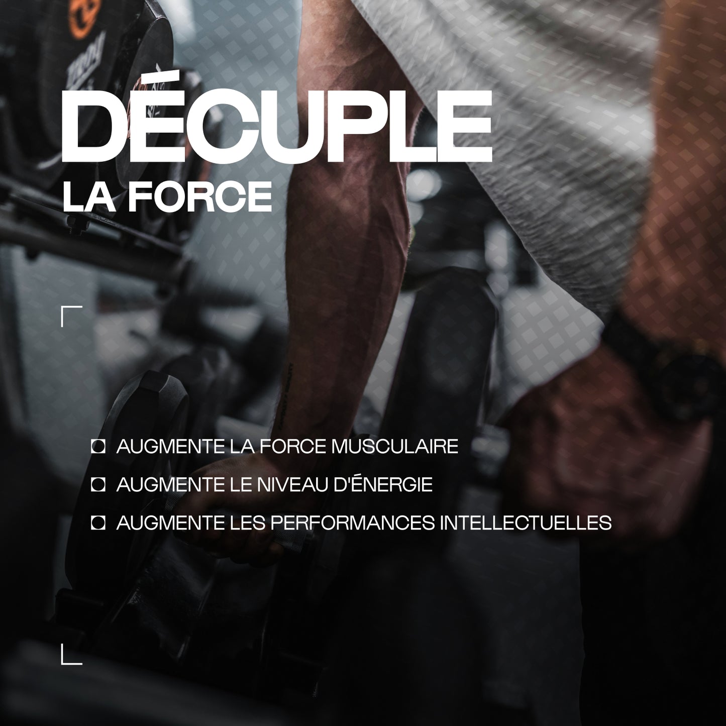 Créatine (Creapure®) en gélules