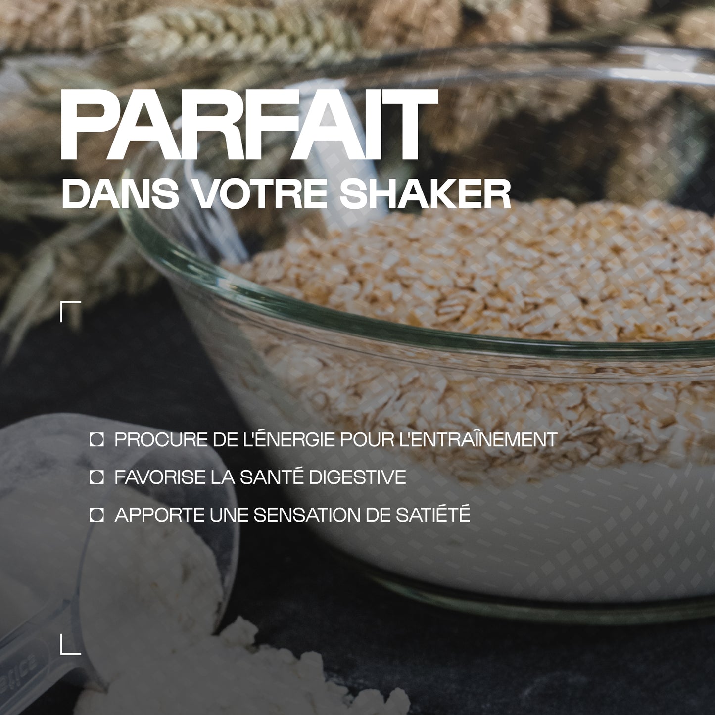 Flocons d'avoine biologiques en poudre