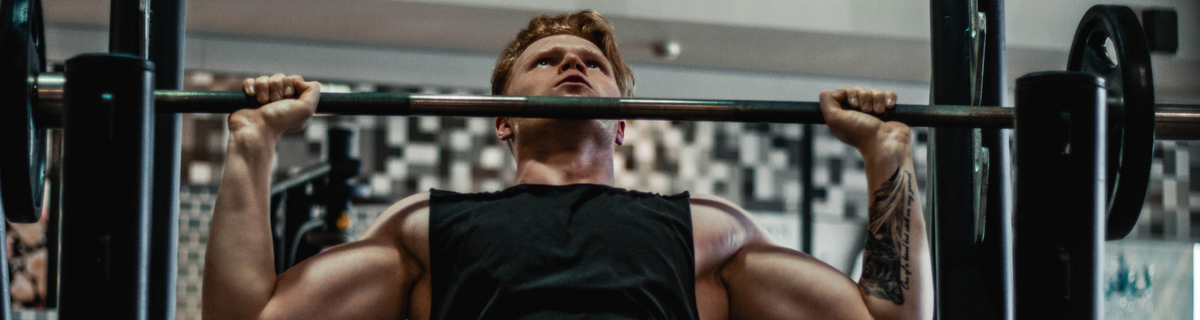 banniere article bienfaits mate