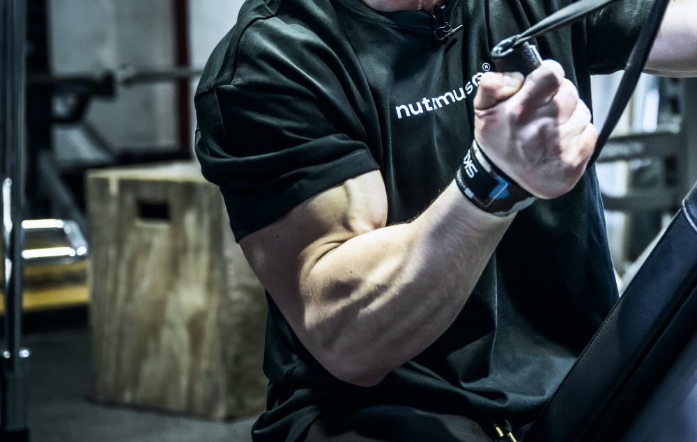 Hypertrophie musculaire : qu'est-ce que c'est ?