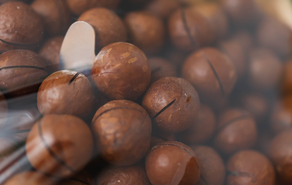 Les bienfaits des noix de macadamia