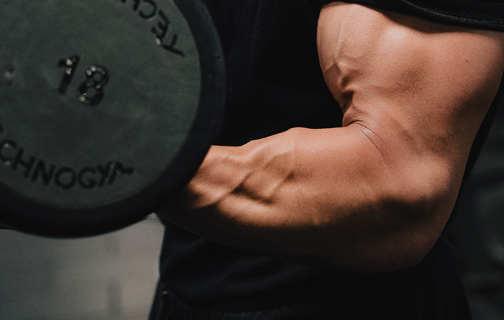 Muscle avant-bras : anatomie et meilleurs exercices