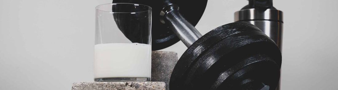 mélange protéines lait et oeufs pour la musculation