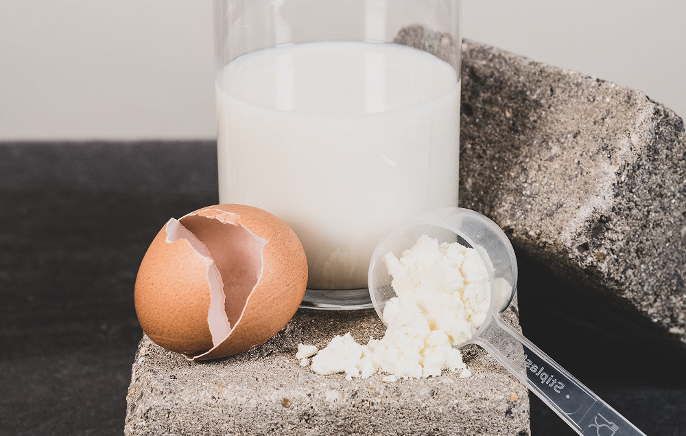 Protéine d'oeuf en poudre : bienfaits, avantages, inconvénients