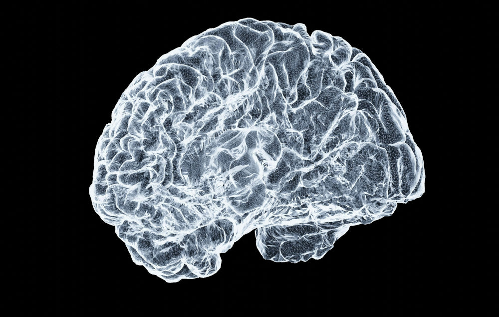 Quels sont les bienfaits des Oméga 3 sur le cerveau
