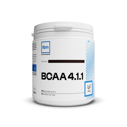 BCAA 4.1.1 Constructeurs en poudre