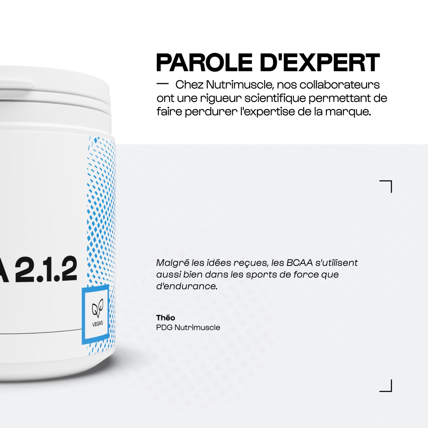BCAA 2.1.2 Résistance en poudre