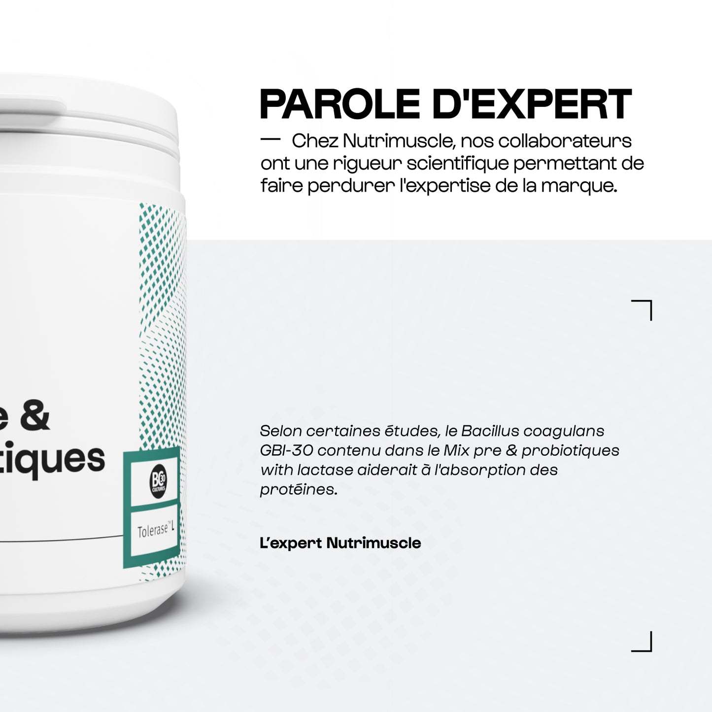 Mix pré & probiotiques