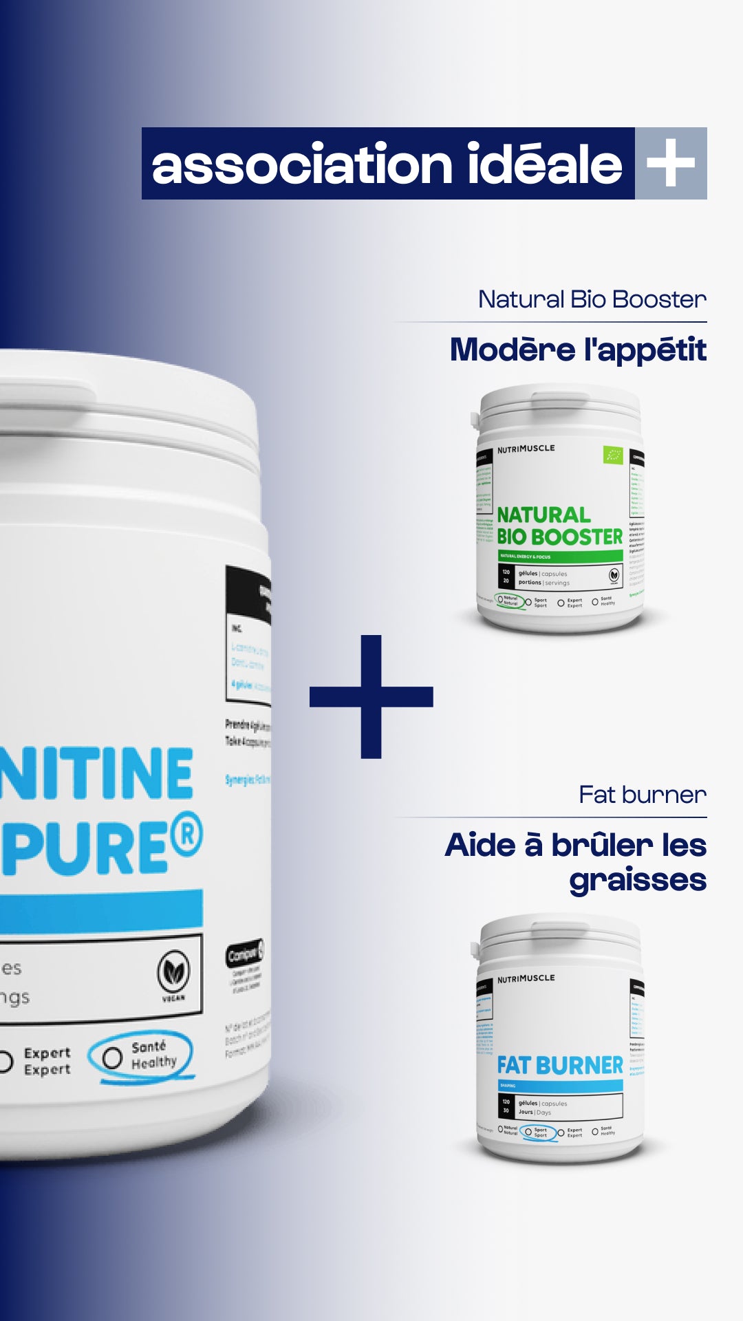 Carnitine Carnipure® en poudre
