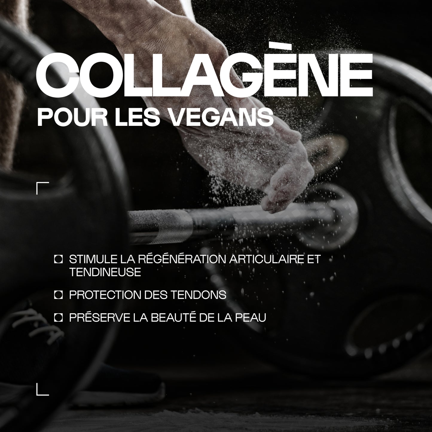 Acides Aminés du Collagène 4.4.1 en poudre