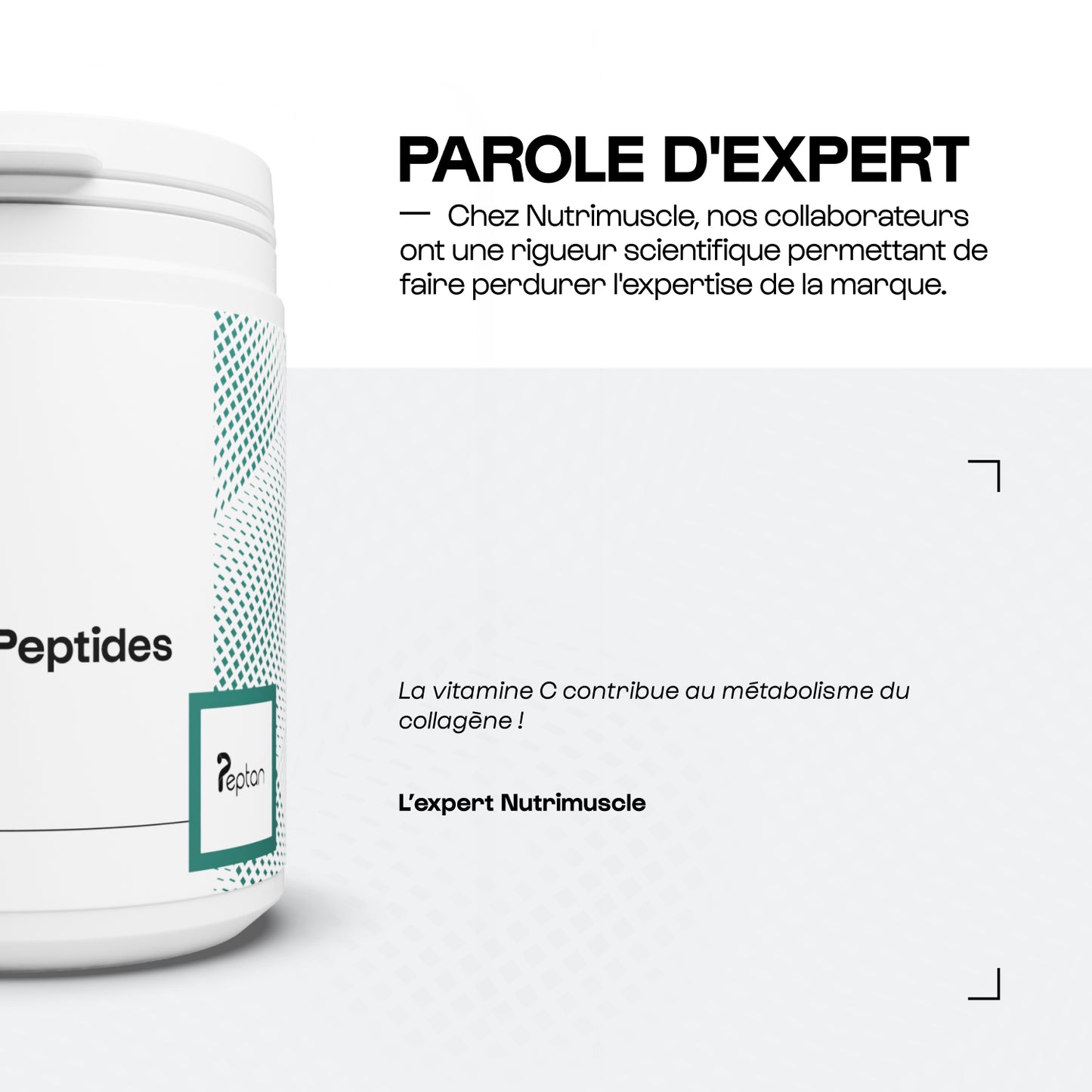 Collagène Peptides Peptan® en poudre