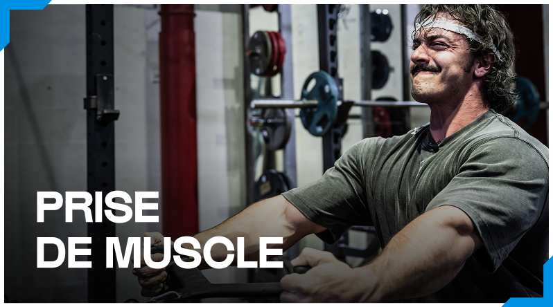 Prise de muscle