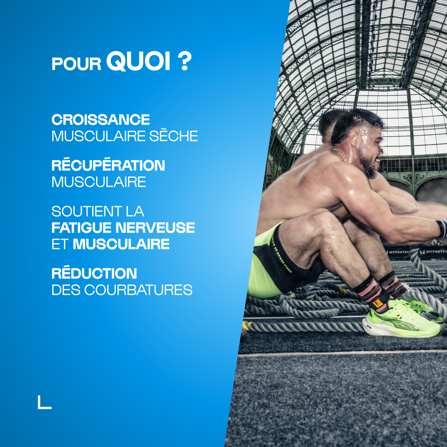 BCAA 4.1.1 Développement musculaire - poudre