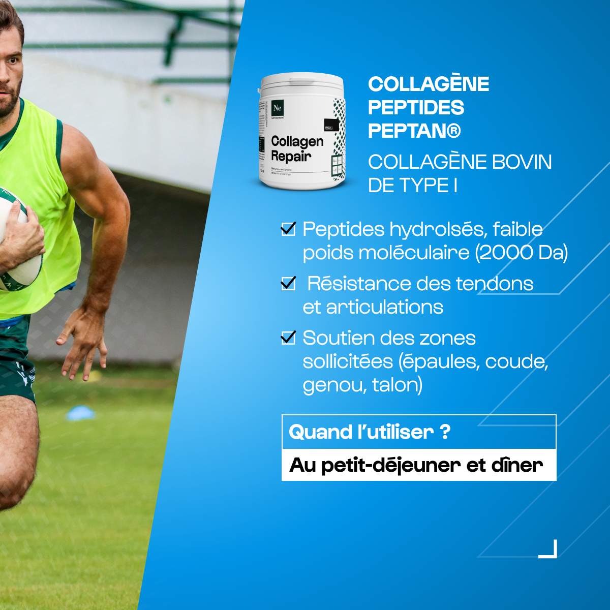 Pack Rugby – Nutrimuscle