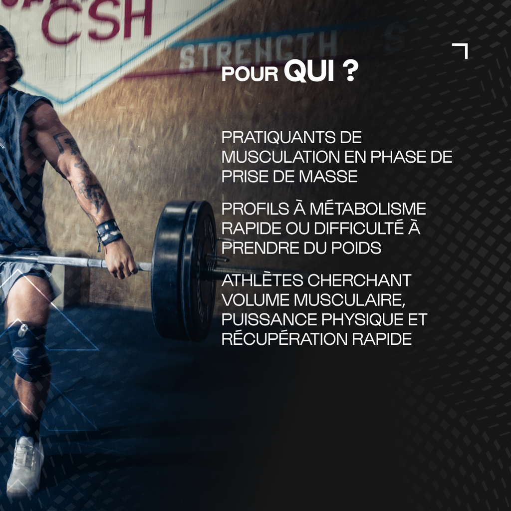 Pack Prise de masse