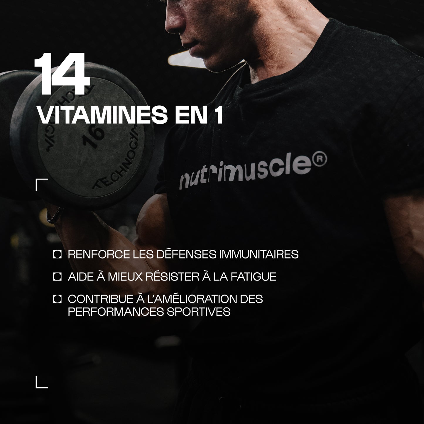 Multivitamines Max en poudre