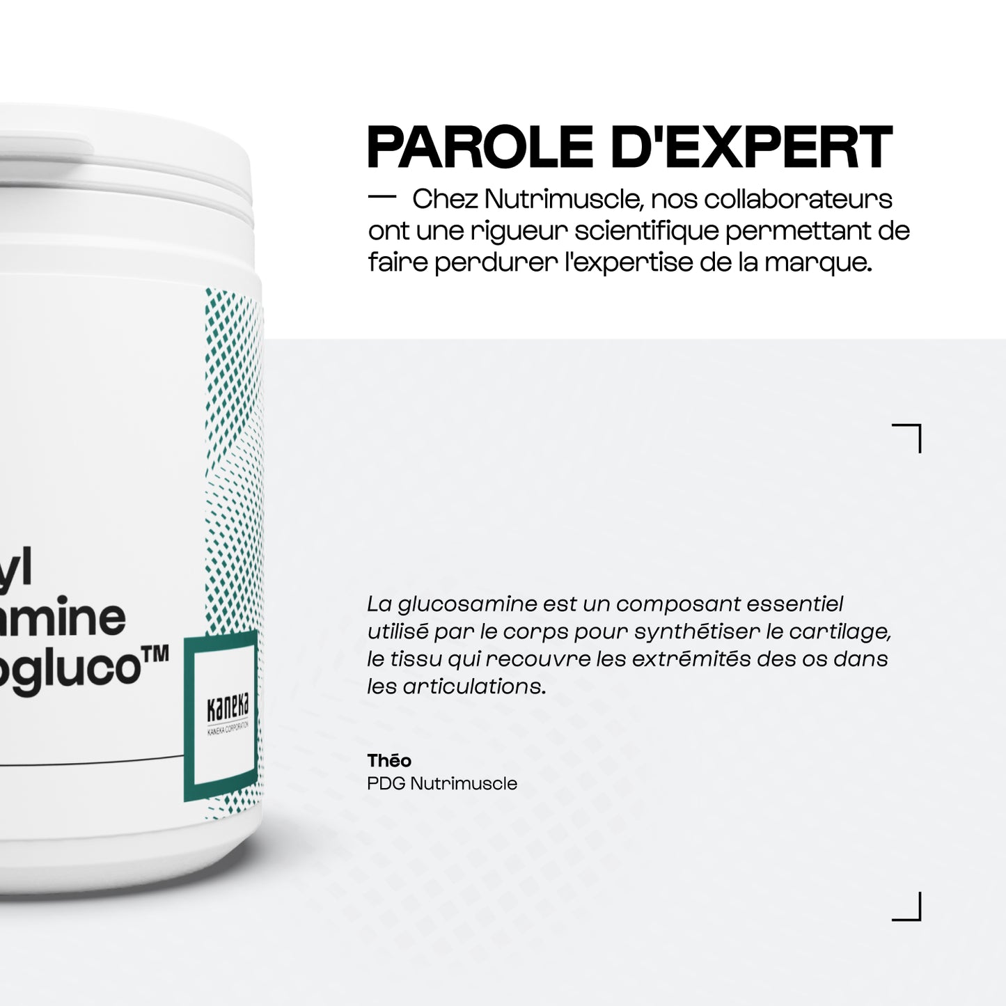 Glucosamine (N-Acetylglucosamine) Hyalurogluco™ en gélules
