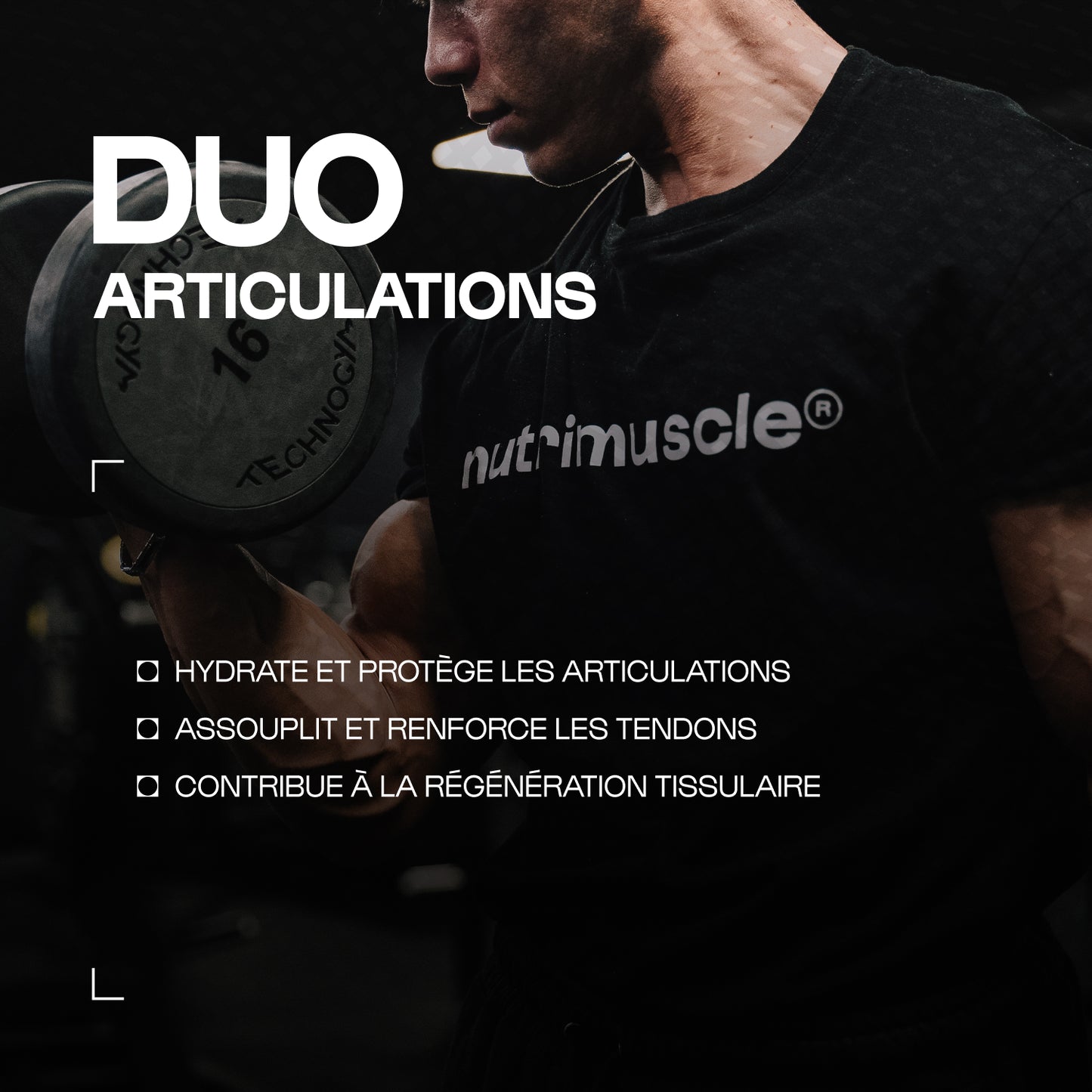 Mix Glucosamine + Chondroïtine en poudre