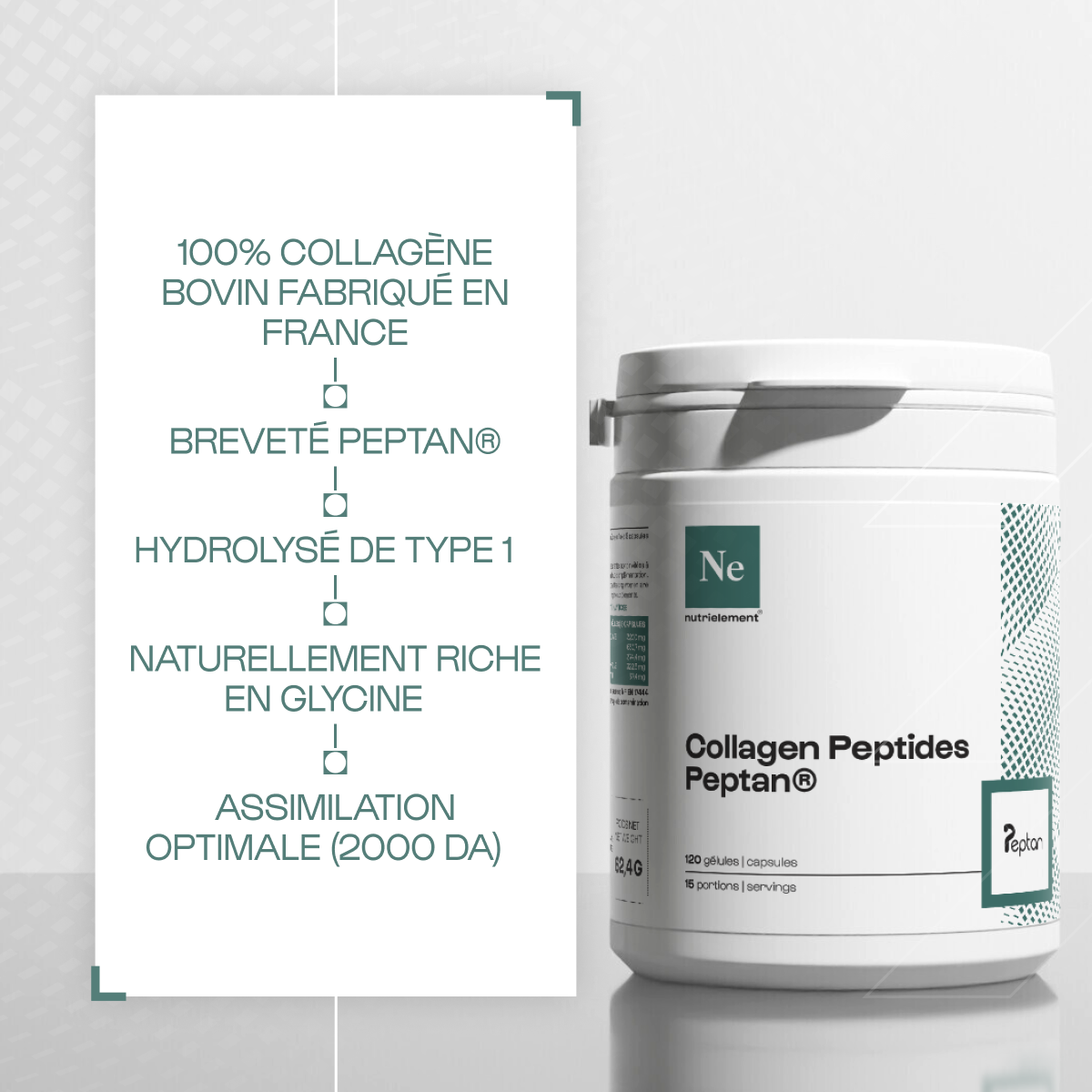 Collagène Peptides Peptan® en poudre