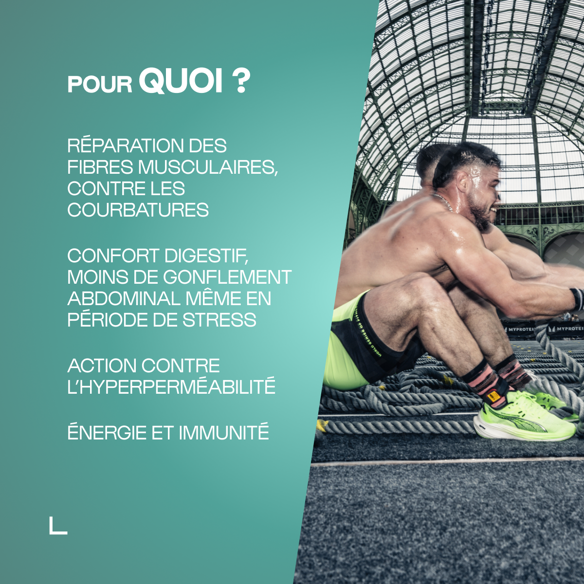 Glutamine (L-Glutamine) en poudre
