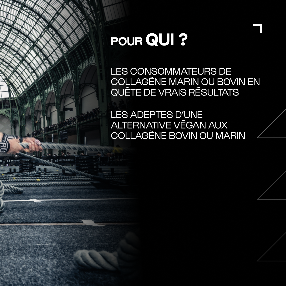 Acides Aminés du Collagène en poudre