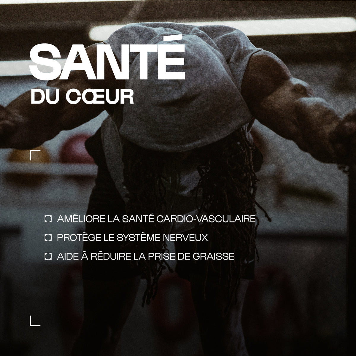 T-Shirt Pour Homme En Coton 100% Avec Bonnet De Noël De T-Shirt Pour Homme En Coton 100% Avec Bonnet De Noël De