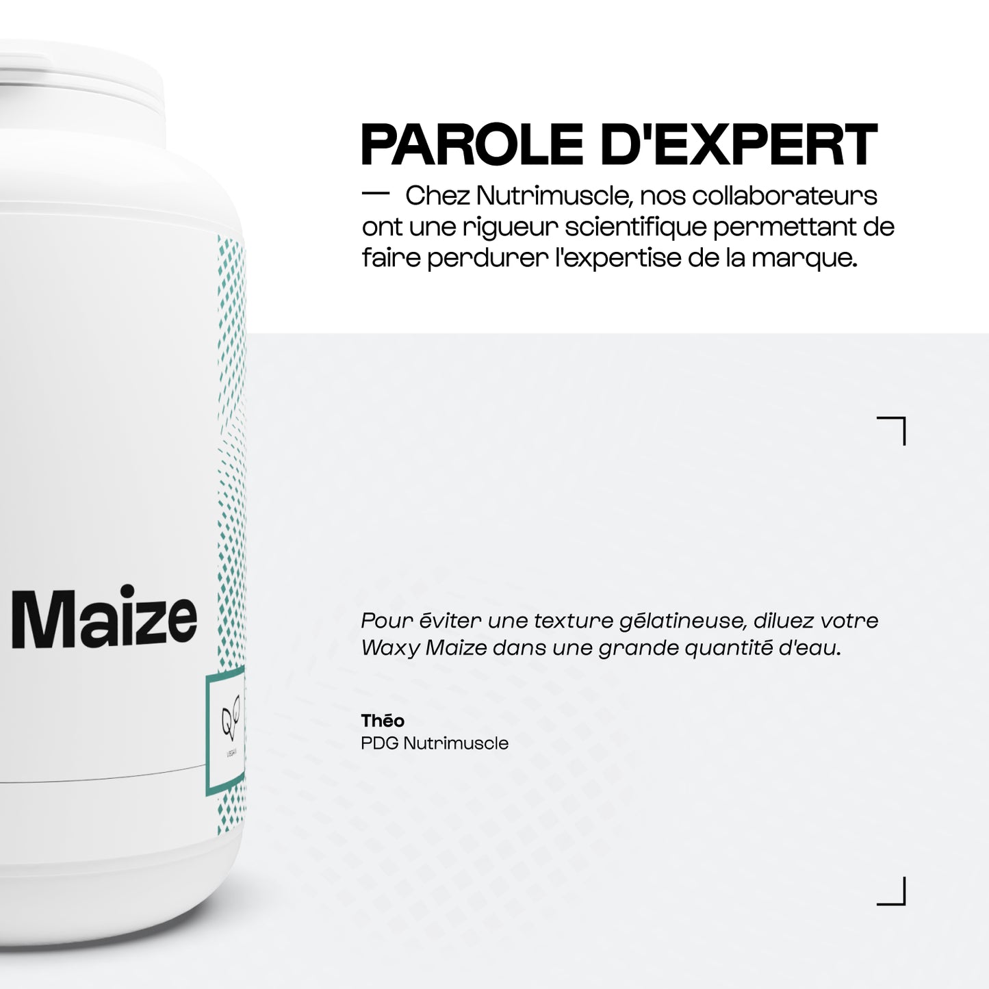 Waxy Maize
